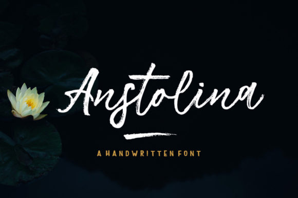 Anstolina Typeface Review: Elevating Social Campaigns With Style