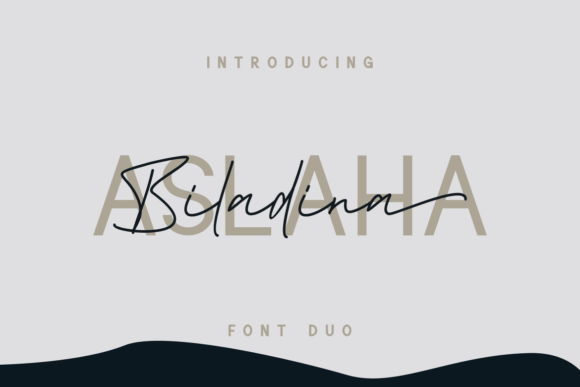 Aslaha Biladina: A Chic Script Font for Modern Web Design