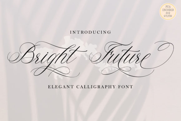 Bright Future Font: Elevate Your Campaigns with Elegance and Clarity