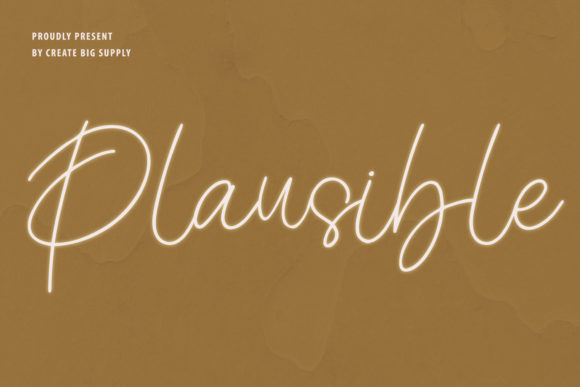Plausible Typeface Review: Elevating Small Business Brand Identity