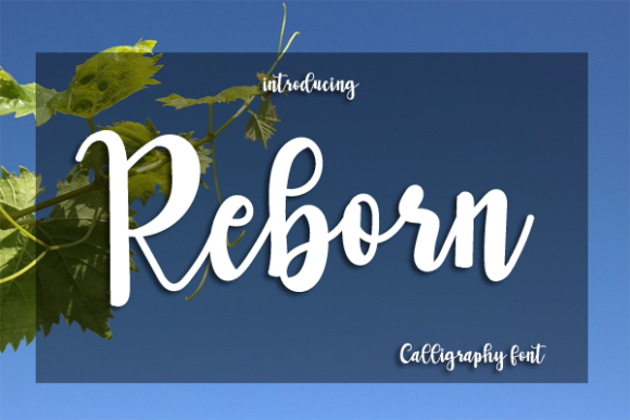 Reborn Typeface: Elevate Your Brand Identity With Playful Script Design