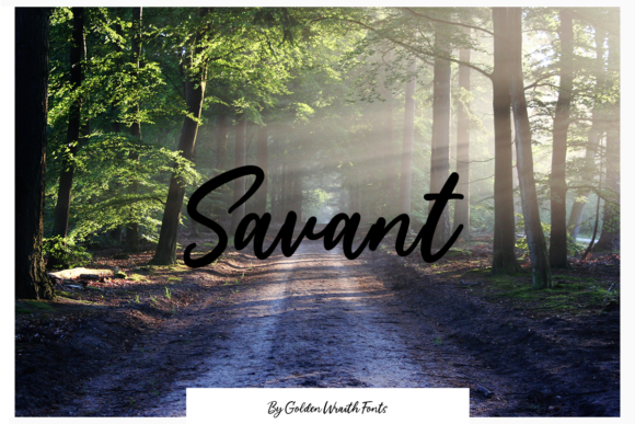 Savant Script Font Review: Elevating Campaign Visuals With Confidence