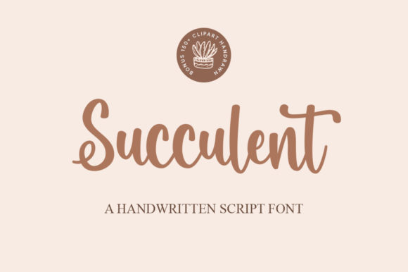 Succulent: A Playful Script Font for Editorial Branding