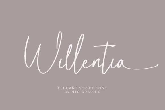 Willentia: A Script Font That Elevates Your Campaign Design